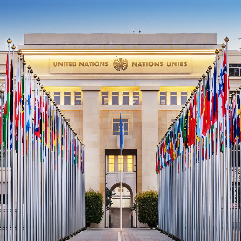 Albou-Avocat-united-nations